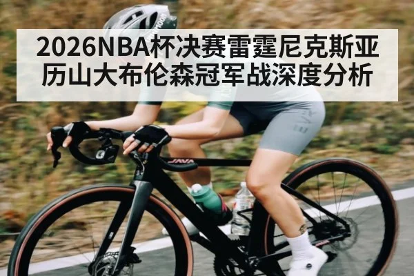 2026NBA杯决赛雷霆尼克斯亚历山大布伦森冠军战深度分析